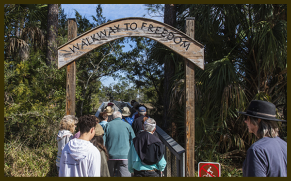 Bus Tour and Kayak Tours