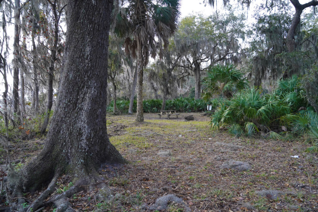 Davis Landing 11