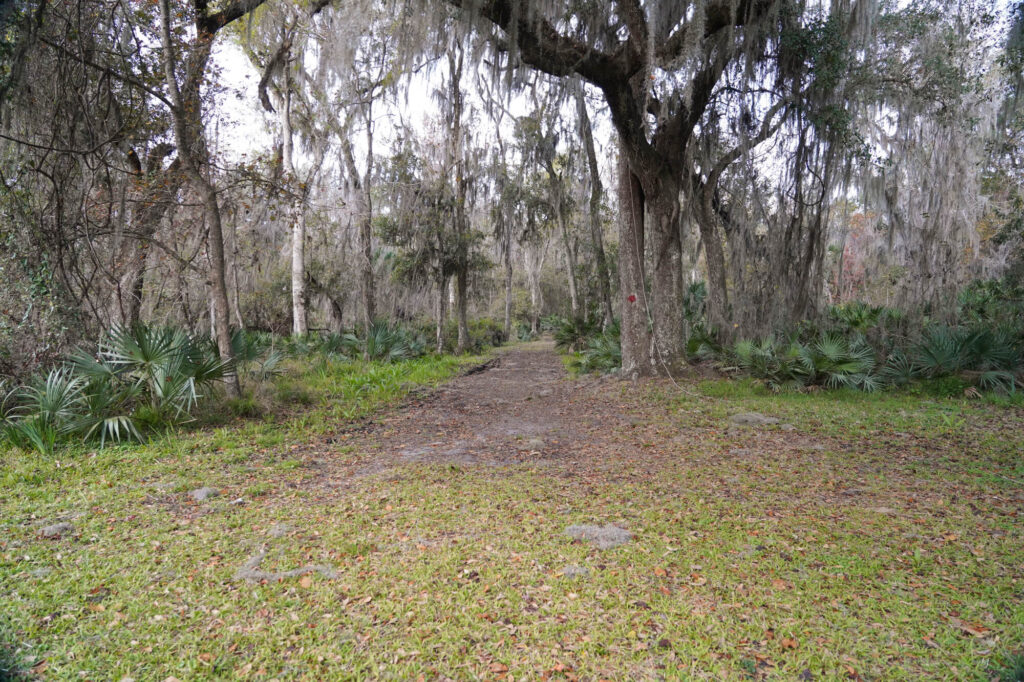 Davis Landing 14