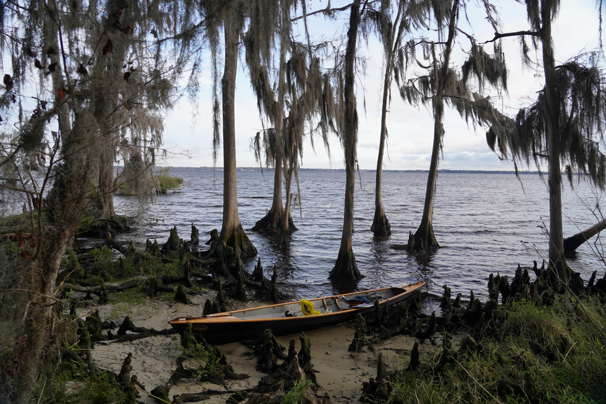 Davis Landing 16
