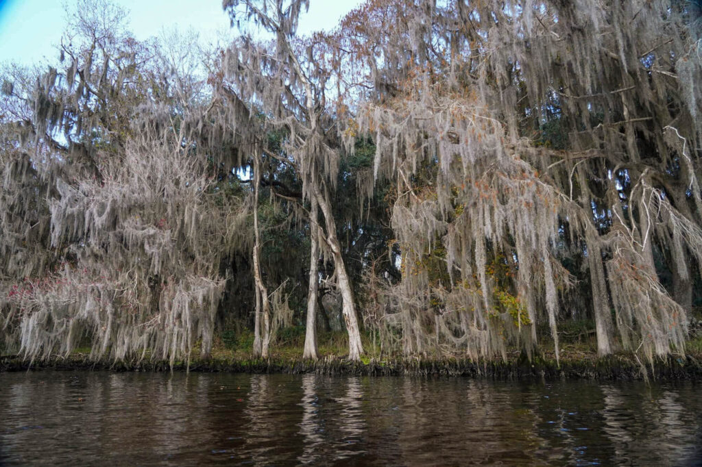 Davis Landing 18