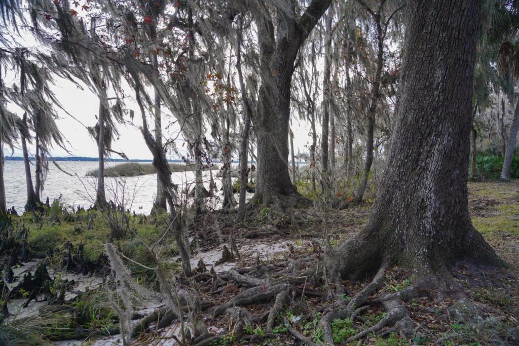Davis Landing 3