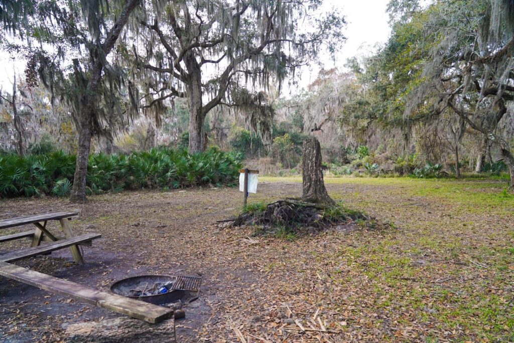 Davis Landing 4