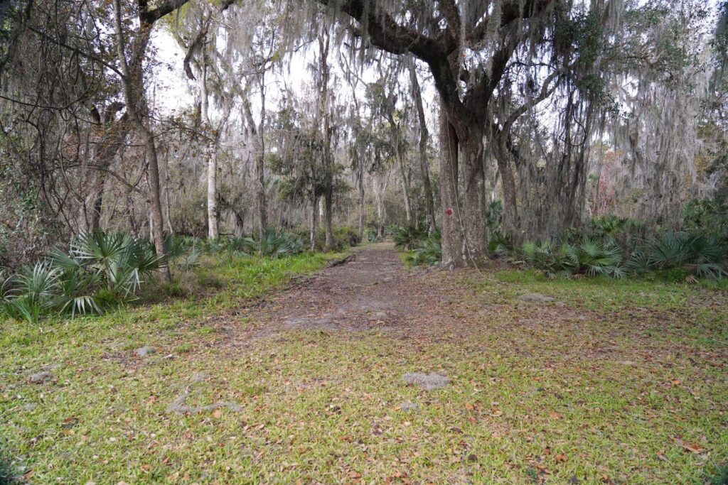 Davis Landing 5
