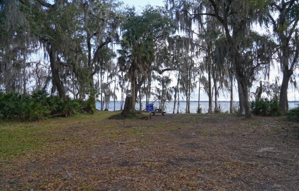 Davis Landing 6